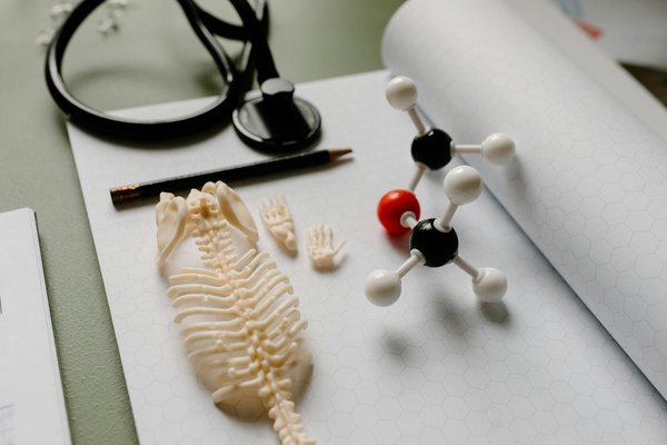 Which Nutrients Are Essential for Healthy Skin After 50?